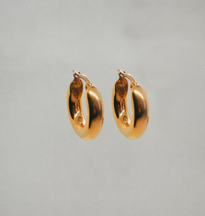 Perfectini earrings