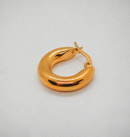 Perfectini earrings