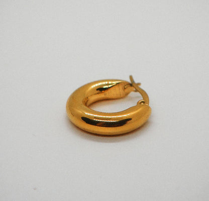 Perfectini earrings