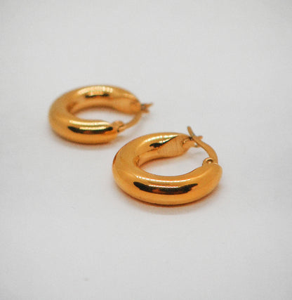 Perfectini earrings