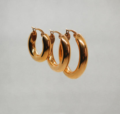 Perfectini earrings