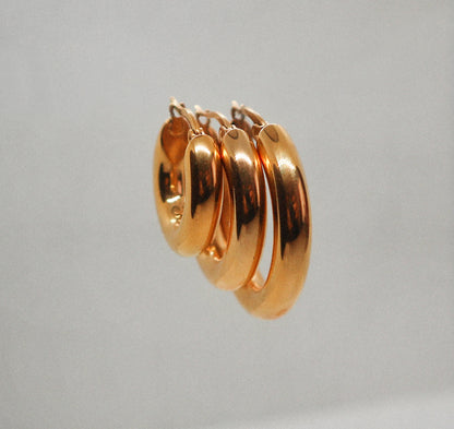Perfectini earrings