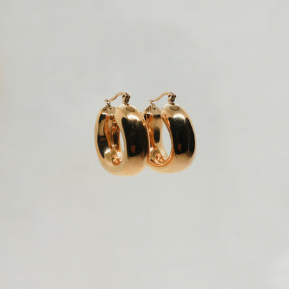 Aki earrings